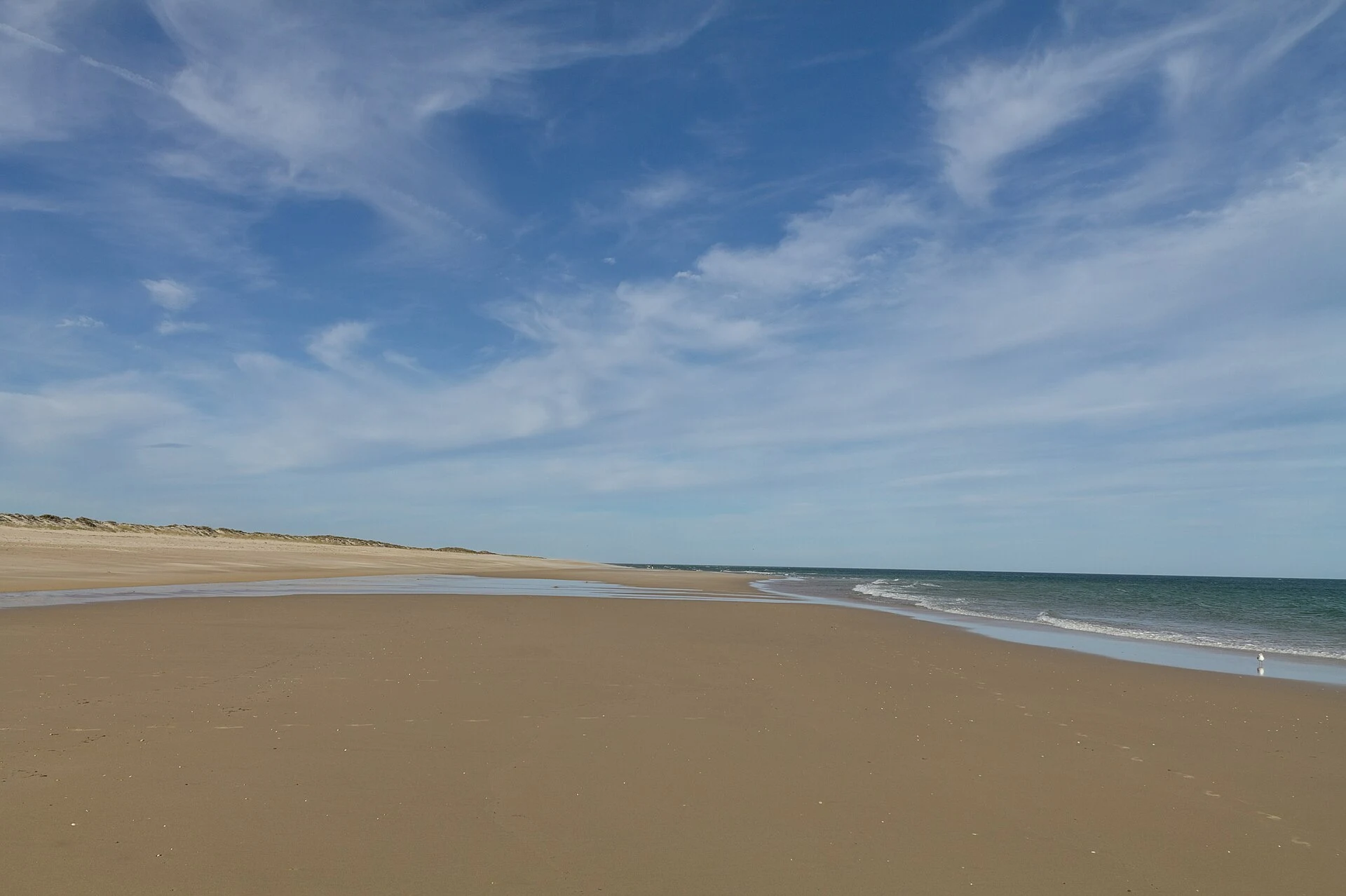 Praia da Culatra