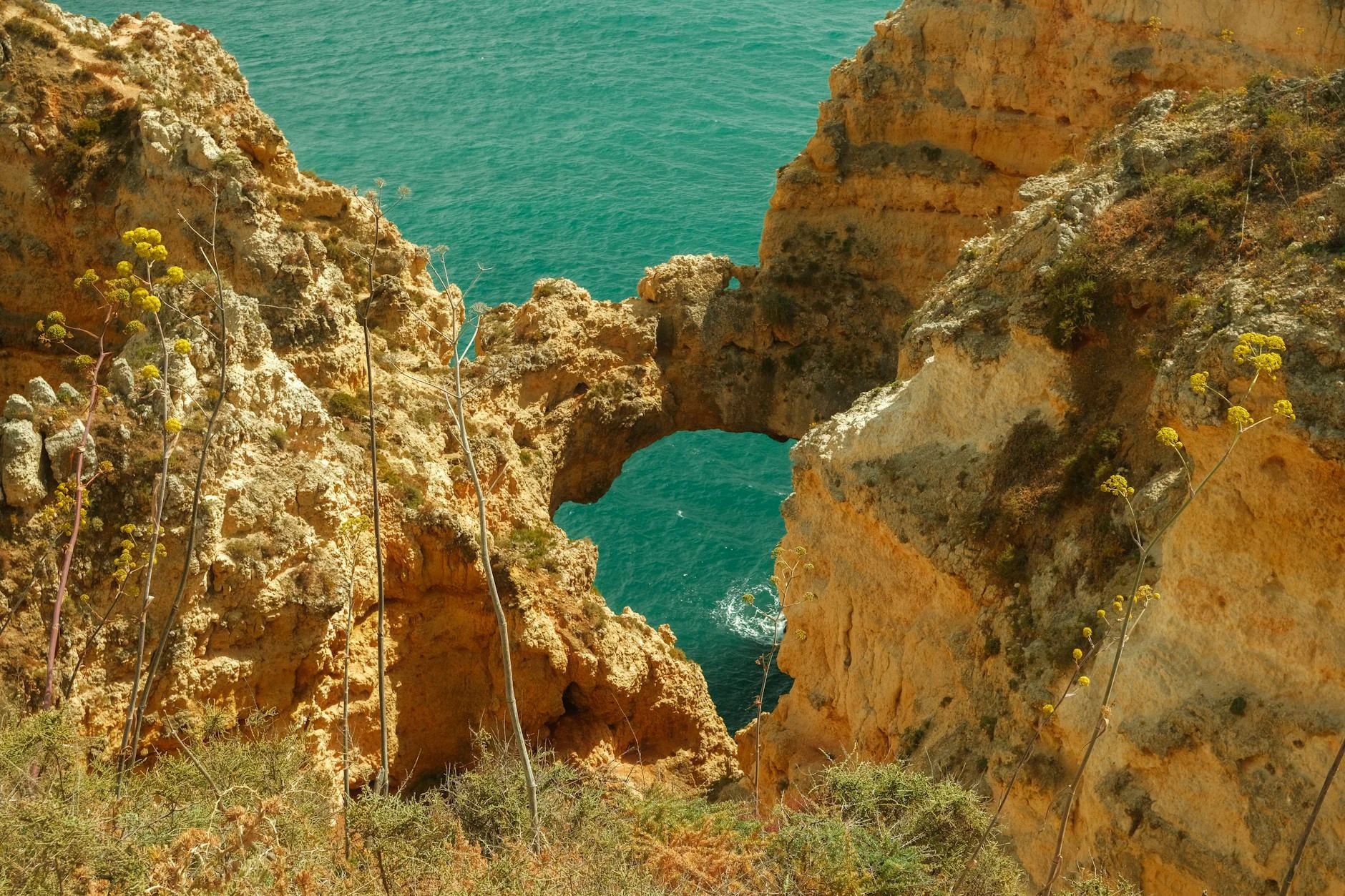 Forte da Ponta da Bandeira